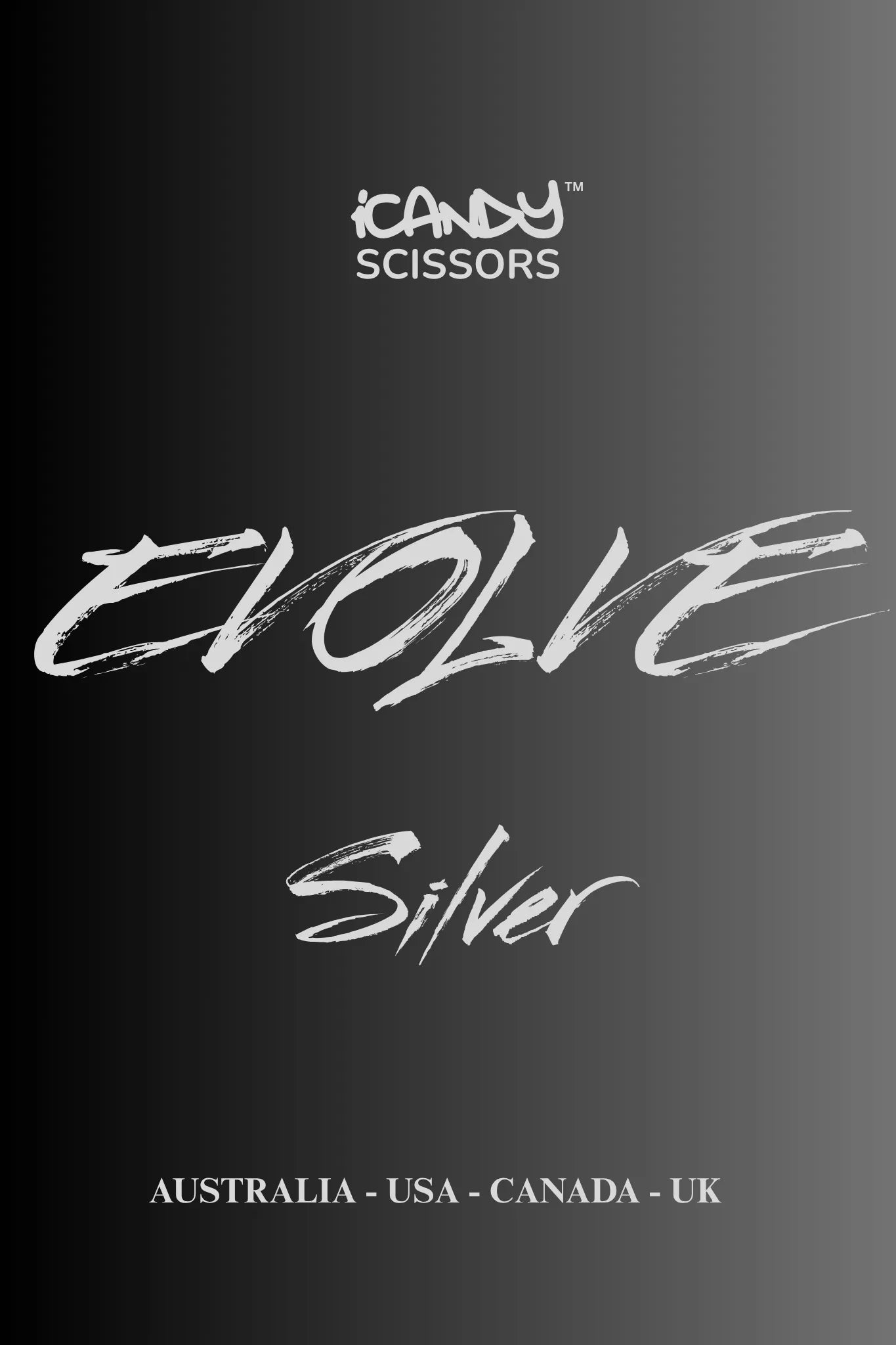 iCandy EVOLVE Silver VG10 professional hairdressing scissors promotional poster showcasing Japanese TAKEFU VG10 steel, innovative ergonomic design and precision cutting performance for professional hairdressers and barbers.