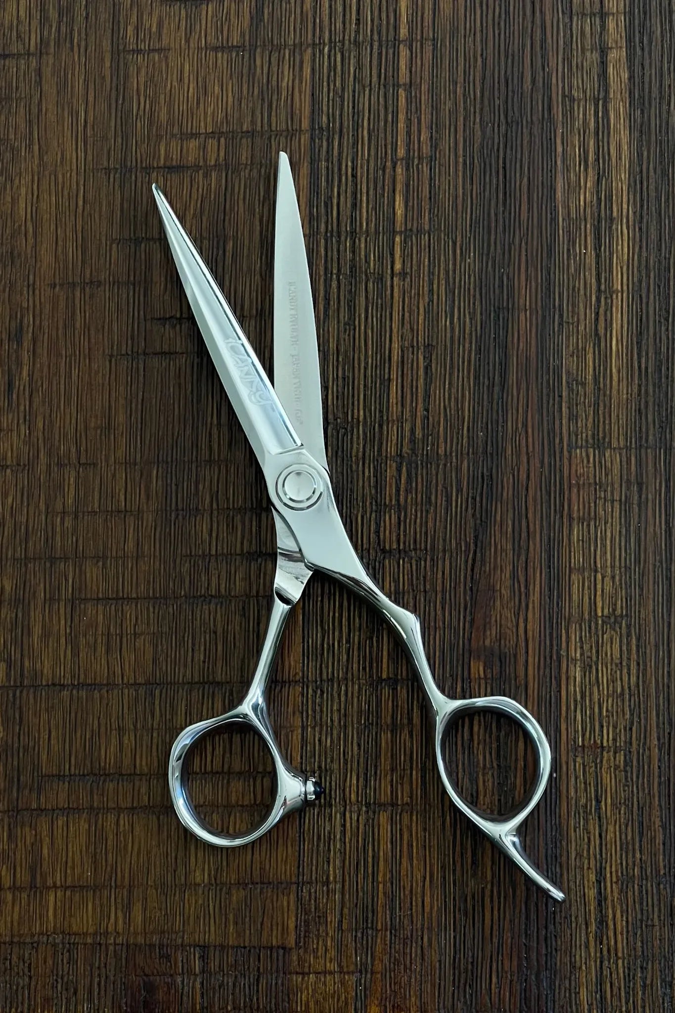 Close-up of the iCandy EVOLVE Silver VG10 6.0 inch hairdressing scissors showcasing Japanese VG10 steel, sword mountain blade, mirror polished finish and precision convex cutting edge.