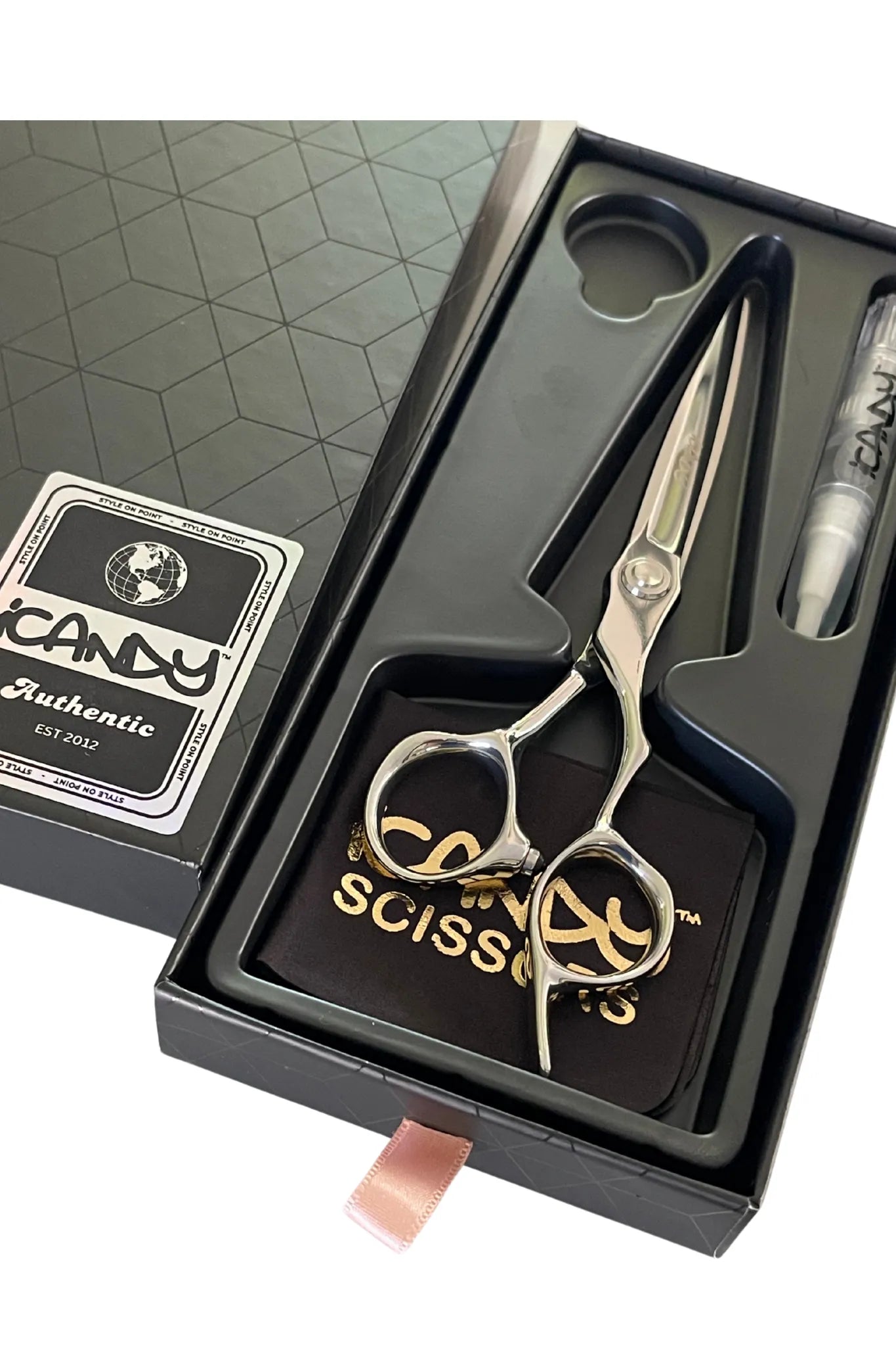 iCandy EVOLVE Silver VG10 6.5 inch professional hairdressing scissors in premium iCandy presentation box, showcasing Japanese TAKEFU VG10 steel, advanced ergonomic design, sword mountain blade and smooth precision cutting for salon professionals.