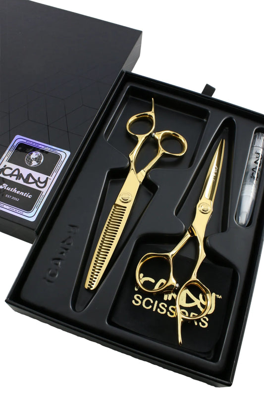 iCandy EVOLVE Yellow Gold VG10 Hairdressing Scissor and Thinner Bundle 6.0 inch in premium iCandy gift box featuring Japanese TAKEFU VG10 steel, ergonomic offset handles, yellow gold titanium coating and professional salon performance.