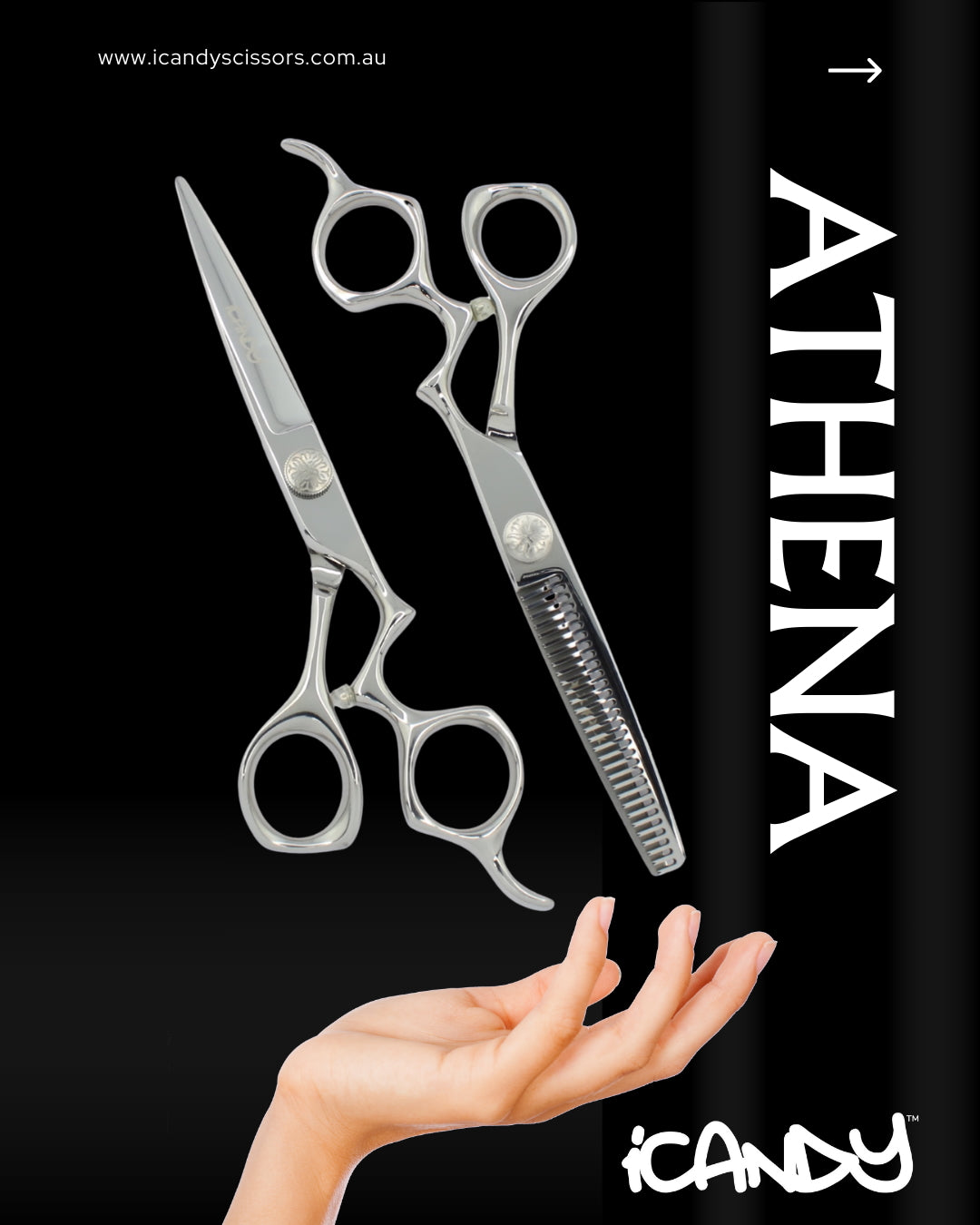 iCandy Athena Scissor & Athena CT Thinning Scissors Bundle (6 inch)